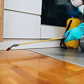 Haşere ve Kemirgen Kontrol