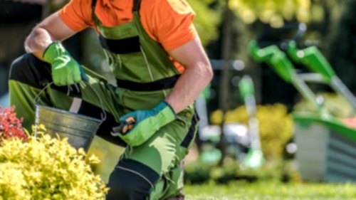 Bahçe Peyzaj Bakım Temizlik